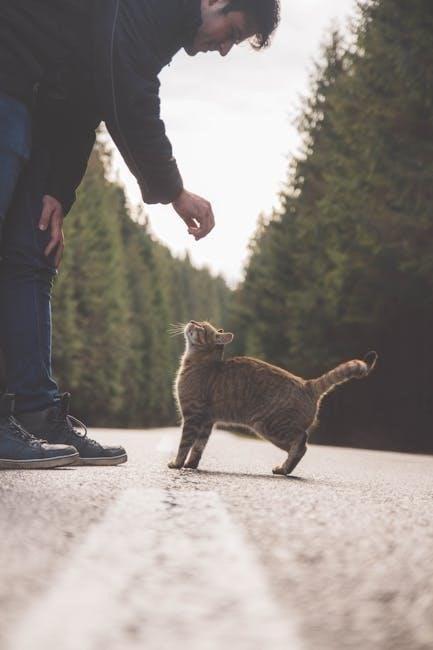 trazodone for cats dosage chart by weight pdf