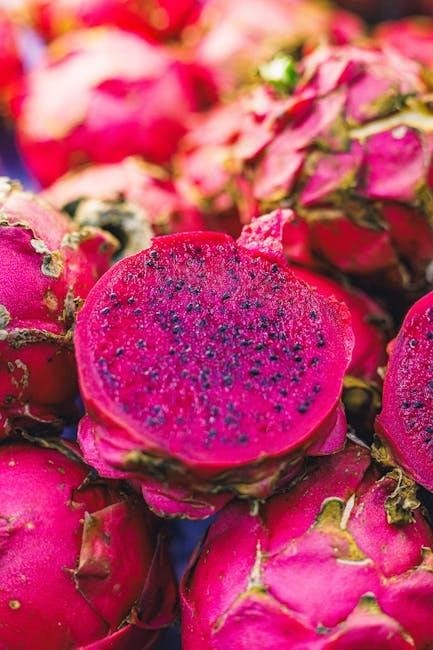 the anti anxiety diet pdf