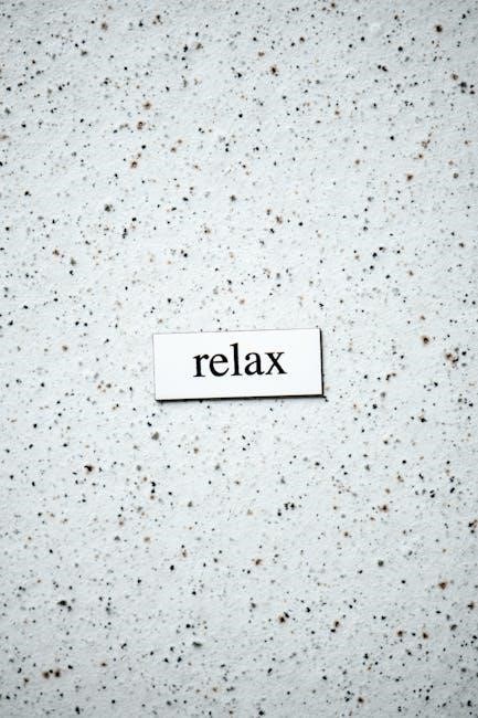 presentation zen pdf